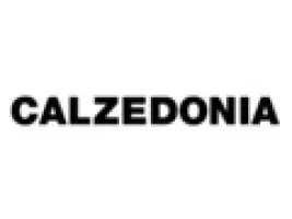 Calzedonia CZ logo
